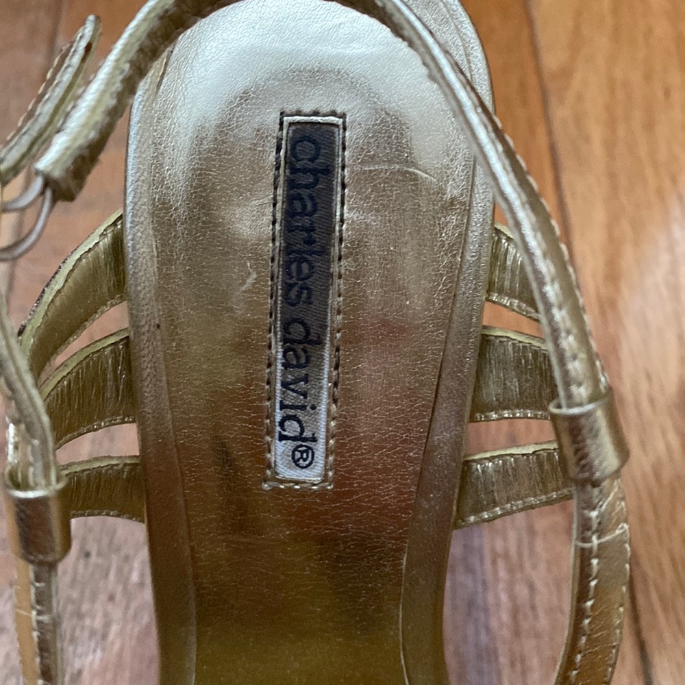 Charles David Gold Shoe.